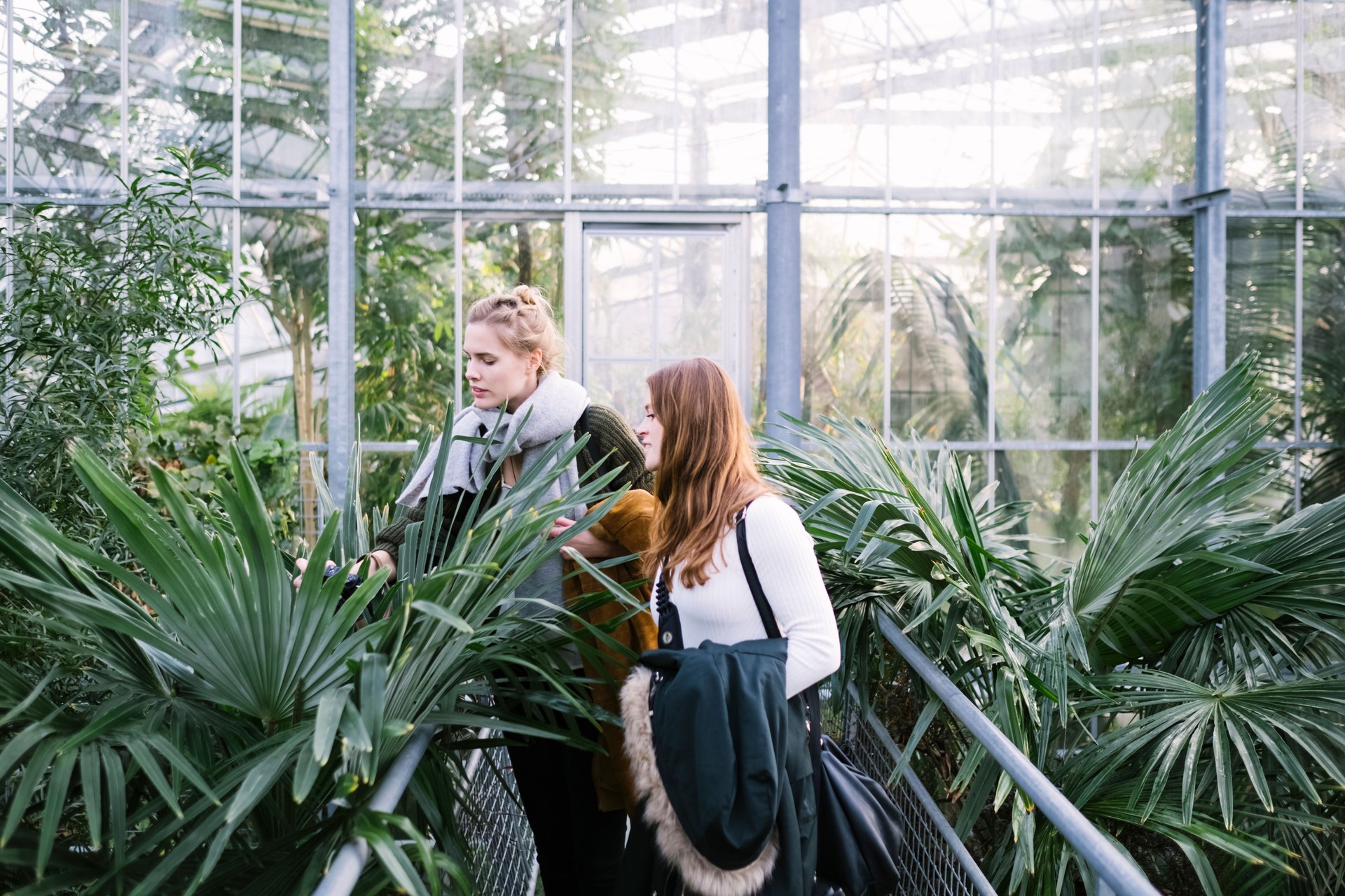 Woman Standing In Greenhouse